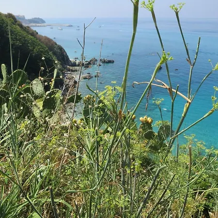 Il Limoneto 3, Casa Vacanze Parghelia-tropea Ferienhaus *