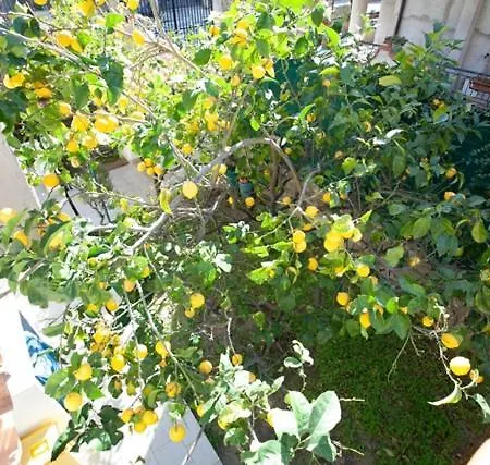 Il Limoneto 3, Casa Vacanze Parghelia-tropea Ferienhaus *